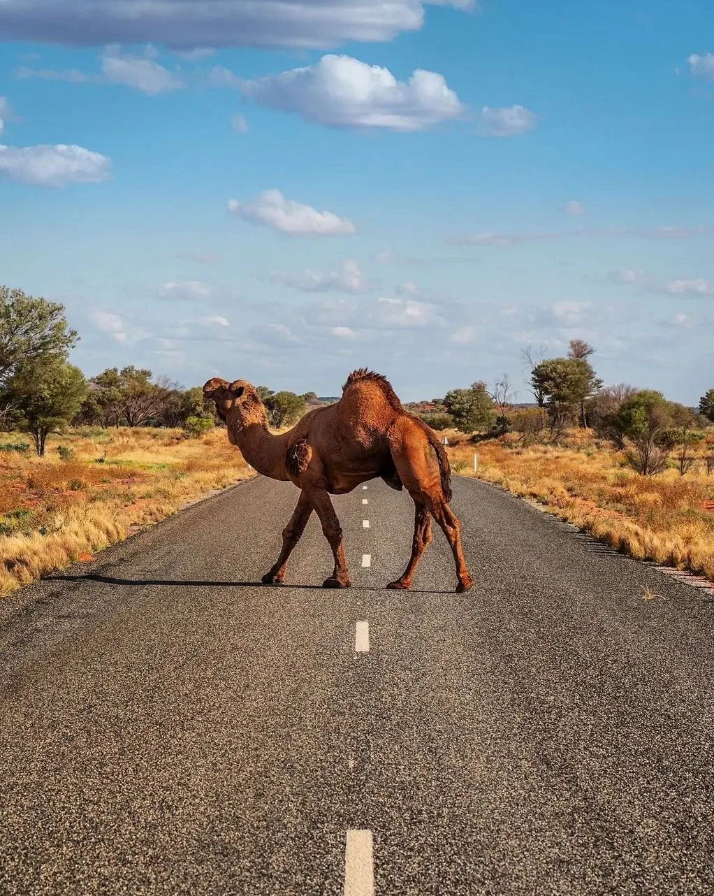 Red Centre tour