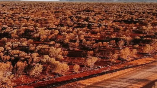What Are the Seasons in Central Australia